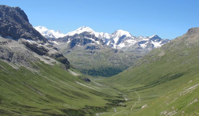 Die Alpen verfärben sich wegen des Klimawandels von Weiß zu Grün. Das berichten Forscher der Universitäten von Lausanne und Basel. 