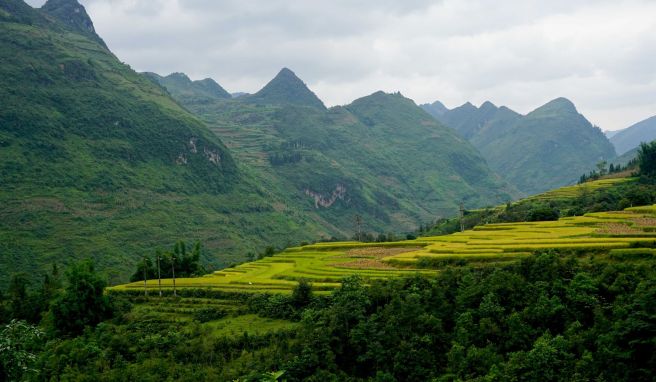 REISE & PREISE weitere Infos zu Vietnam, Hainan, Kenia: Drei Visa-News in der Fernreise