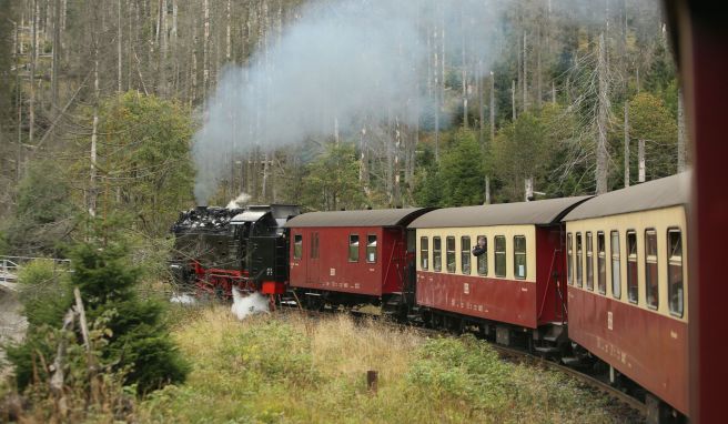 REISE & PREISE weitere Infos zu Seit 30 Jahren wieder per Zug zum Brocken