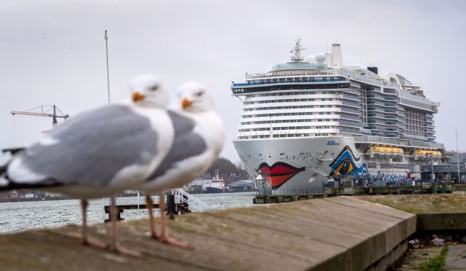 Kreuzfahrt  Aida Cruises schickt neue «Aidacosma» auf Reisen