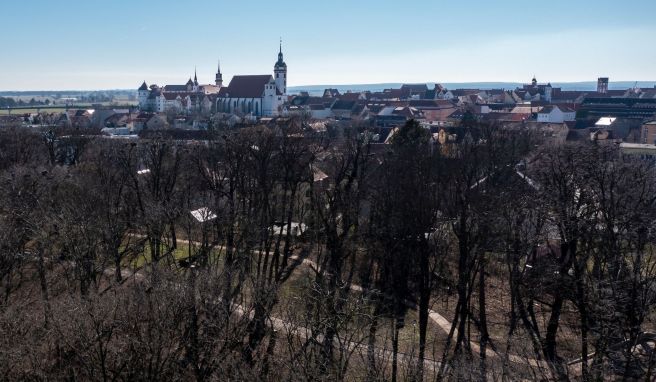 REISE & PREISE weitere Infos zu Torgau wappnet sich für Landesgartenschau