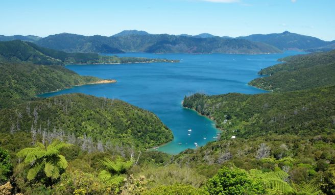 REISE & PREISE weitere Infos zu Neuseeland will seine Grenzen Anfang 2022 wieder öffnen