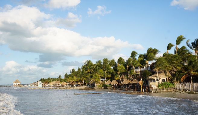 Im Norden von Yucatán  Holbox in Mexiko: Was heißt hier Urlaubsparadies?