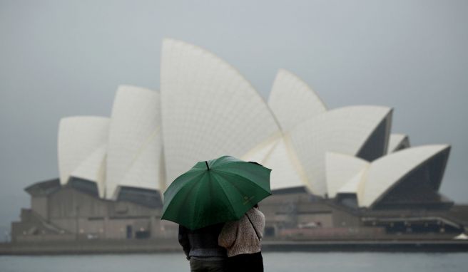 Australien  Rekordregen in Sydney: Massen von Krabbeltieren unterwegs