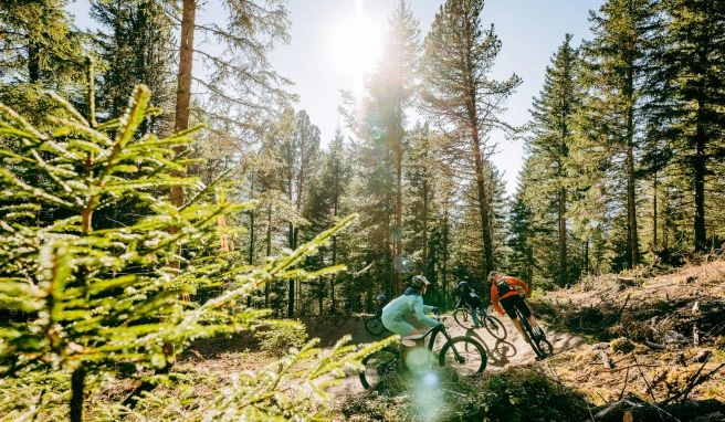 Neues aus der Reisewelt  Mountainbiken im Pitztal und Kunstsauna in Finnland