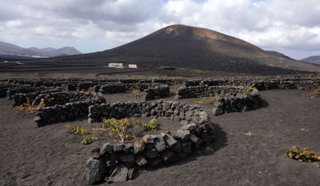 REISE & PREISE weitere Infos zu Kanaren-Urlaub: Die Aromen der Vulkaninsel Lanzarote