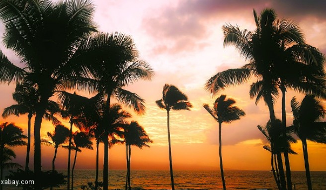  Hawaii  Beste Reisezeit Hawaii