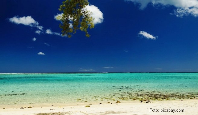 REISE & PREISE weitere Infos zu Mauritius: Beste Reisezeit