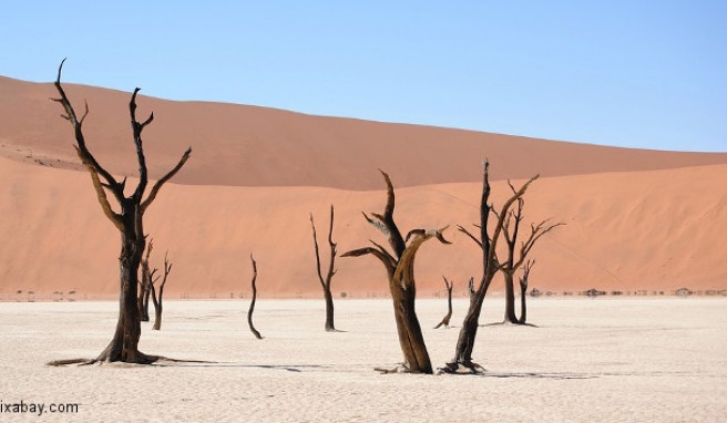 REISE & PREISE weitere Infos zu Namibia: Beste Reisezeit