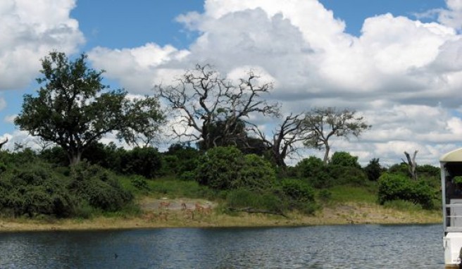 REISE & PREISE weitere Infos zu Afrika: Reisen ins Safariland Botswana