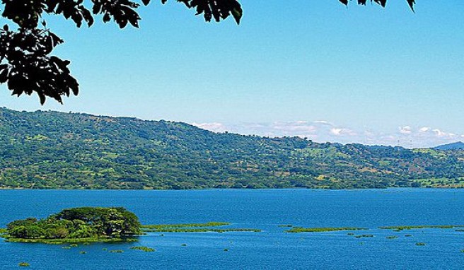 REISE & PREISE weitere Infos zu El Salvador: Vom Guerillero zum Dschungel-Guide