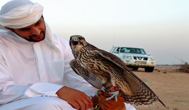 Abu Dhabi, zwischen Traditione und Moderne, Vereinigte Arabische Emirate