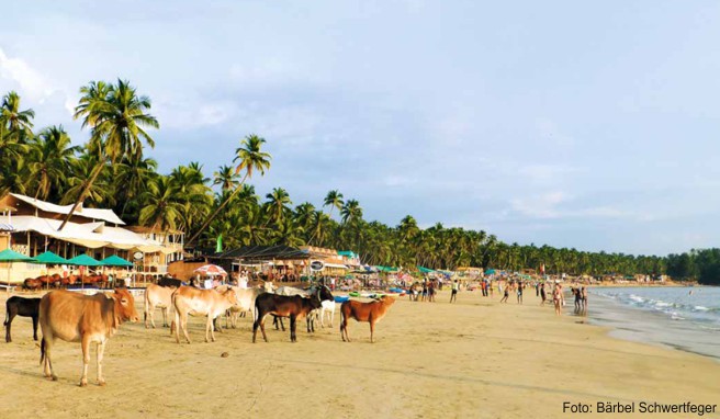 REISE & PREISE weitere Infos zu Goas südliche Strände: Strandromantik auf indisch