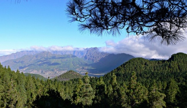 REISE & PREISE weitere Infos zu Kanaren-Reisen: La Palma die schlafende Schöne 