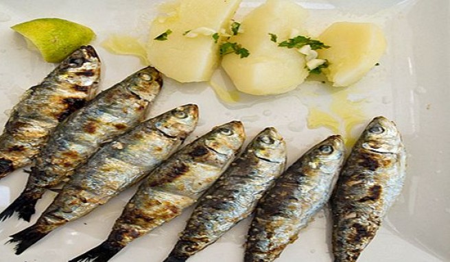 Immer frischer Fisch in den Häfen der Algarve in Portugal