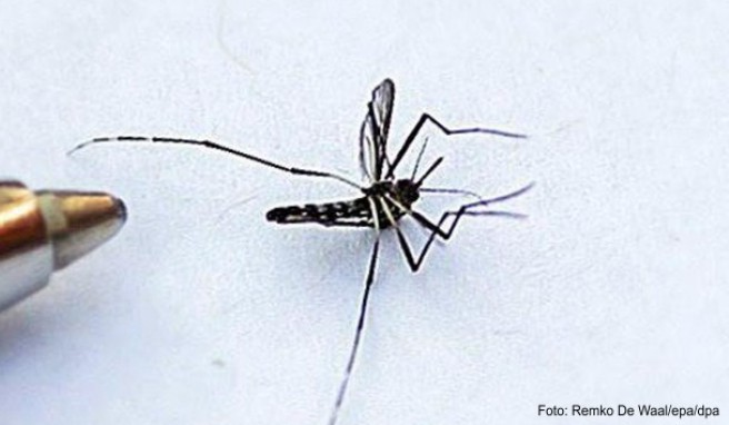 Denguefieber in Sri Lanka  Spray mit DEET in Deutschland besorgen