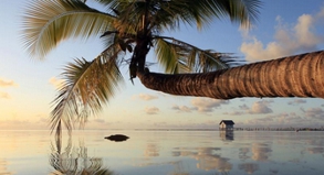 Postkartenkulisse auf Tahiti: Einmal im Leben in die Südsee fliegen - auch Weltreisende können diesen Stop einplanen