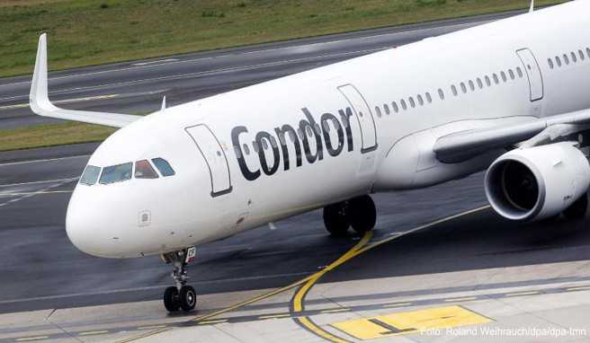 Flugreisen  Neuer Economy-Tarif bei Condor mit mehr Gepäck