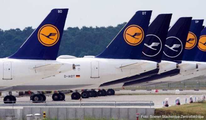 Angebote bündeln  Lufthansa gründet Plattform «Ocean» für Ferienflüge