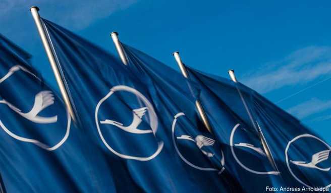 Fahnen mit dem Logo der Fluggesellschaft Lufthansa wehen auf dem Flughafen der Mainmetropole im Wind