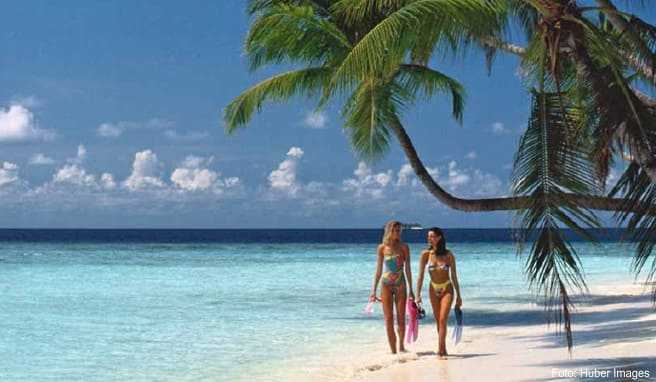 REISE & PREISE weitere Infos zu Urlaub auf den Malediven: Acht Resorts im Indischen Ozean