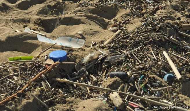 «Plastikfreier Urlaub»  Mallorcas Kampf gegen den Müll