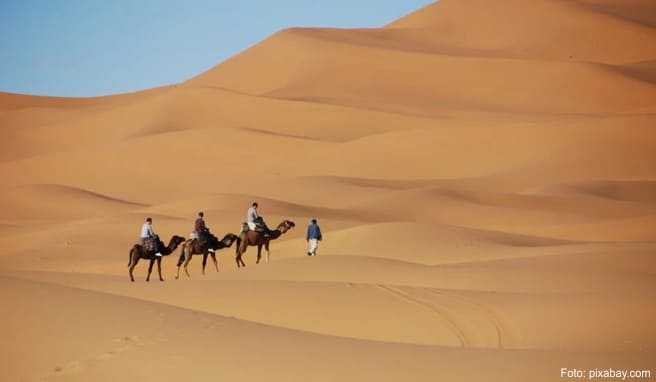 Touristen erleben Marokkos Sahara beim Kameltrekking ganz ursprünglich.