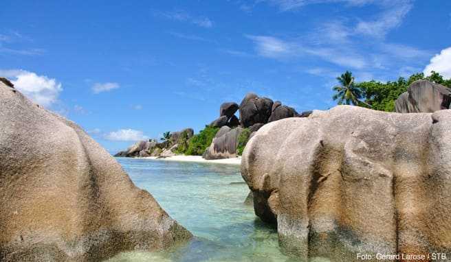 REISE & PREISE weitere Infos zu Seychellen-Reise: Das Luxusreiseziel meldet wieder steige...