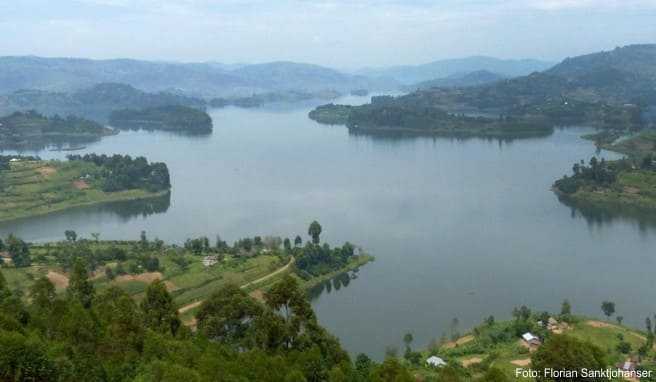 Der Lake Bunyonyi ist der neue Star unter den vielen Seen Ugandas. Sein grünes Wasser ist frei von Bilharziose und Krokodilen