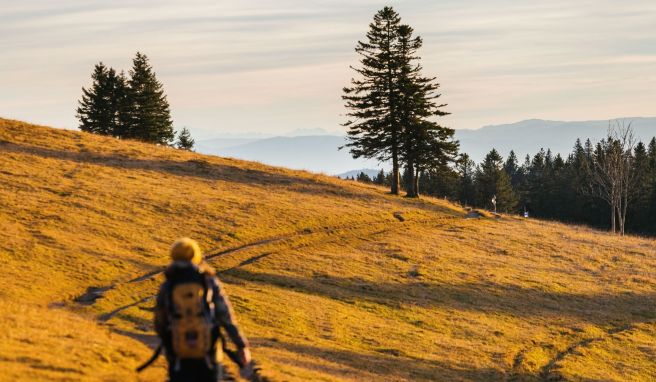 Bei Touren im Herbst werden Wandernde oft mit einmaligen Farb- und Lichtspielen belohnt  - wie hier im Südschwarzwald.