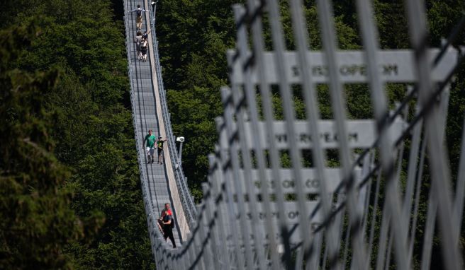 Attraktion für Schwindelfreie Hängebrücken als Nervenkitzel: 100 Meter über dem Abgrund
