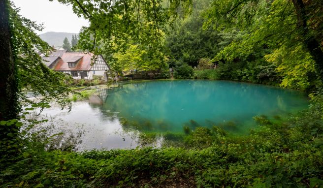 Foto-Hotspot bei Ulm Leuchtende Quelle: Blautopf für Jahre gesperrt