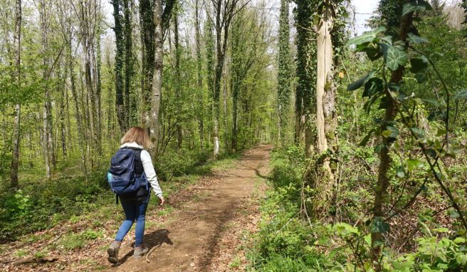 Wandern im Stahlerbe Vom Hochofen in die Natur: Auf dem Minett-Trail in Luxemburg