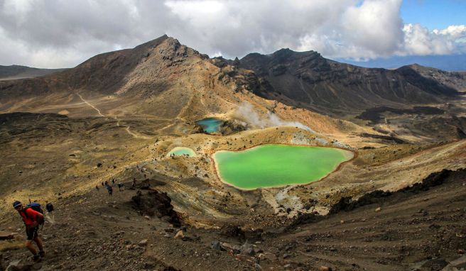 Ab dem 27. Januar dürfen so gut wie alle Besitzer eines Visums oder der NZeTA in Neuseeland nicht nur Urlaub machen, sondern mit einigen Einschränkungen auch arbeiten.