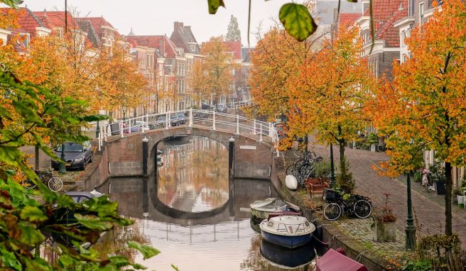 Niederlande Wie die Tulpe nach Holland kam: zu Besuch in Leiden