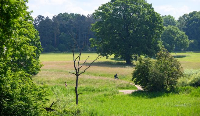 Die Loki Schmidt Stiftung lädt am 18. und 19. Juni wieder zum «Langen Tag der StadtNatur». Rund 250 Veranstaltungen in Hamburg und Metropolregion stehen auf dem Programm. 