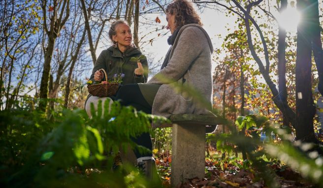 Vermittelt Wissen und kocht mit ihren Gästen: Kräuterpädagogin Nadine Albers.