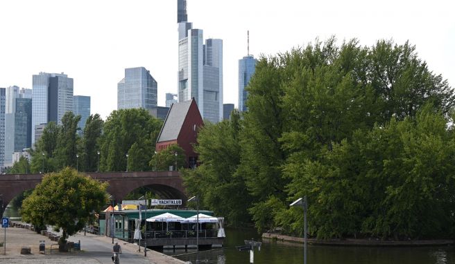 Versteckt zwischen Bäumen steht die Kunsthalle Portikus auf einer kleinen Maininsel an der Alten Brücke.