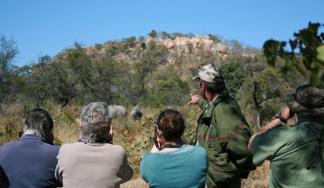 Nashorn-Safari zu Fuß in Simbabwe