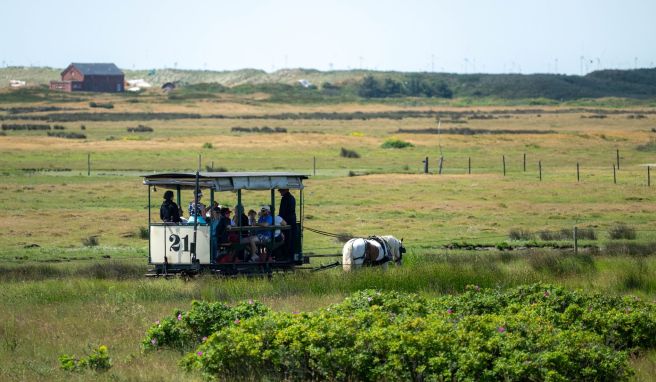 Ostfriesische Inseln Deutschlands einzige Pferdebahn wird länger