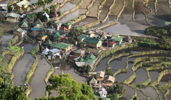 Philippinen Welterbe: Auf den Reisterrassen der Ifugao