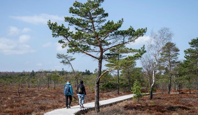 Zwei Frauen gehen auf dem Naturlehrpfad durchs Schwarze Moor in der Rhön am Dreiländereck Hessen, Bayern und Thüringen.