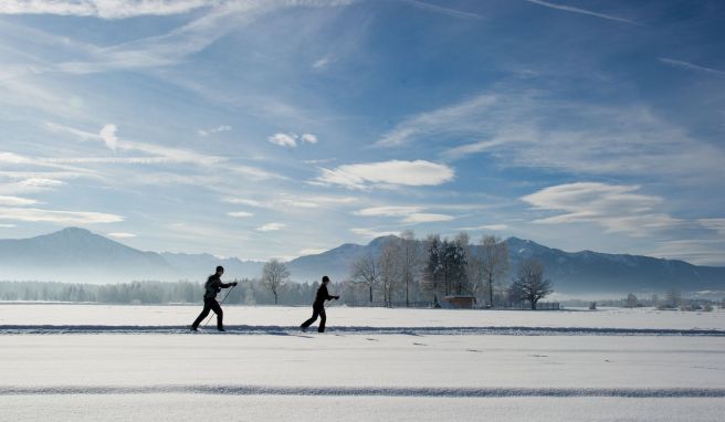 Wintersport Nordic Cruising: Die Skilanglauf-Technik für Einsteiger