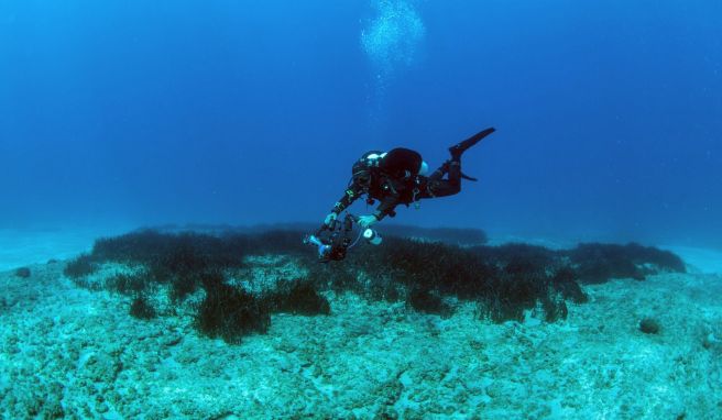 Der Apokoronas Diving Park soll der erste voll lizenzierte Tauchpark Griechenlands sein.