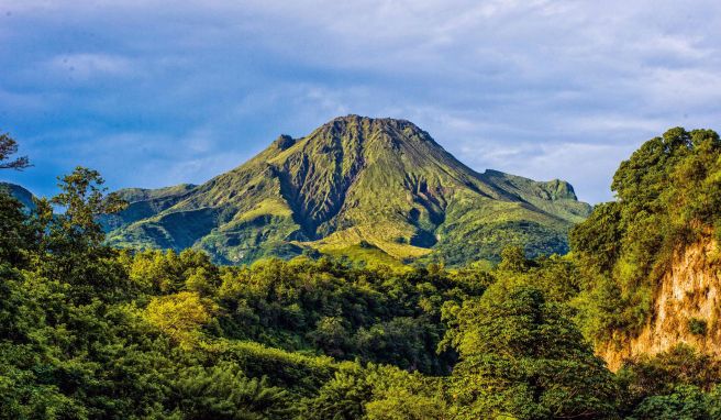 Übersee-Département Vom Traumstrand in die Savanne: Die Karibikinsel Martinique