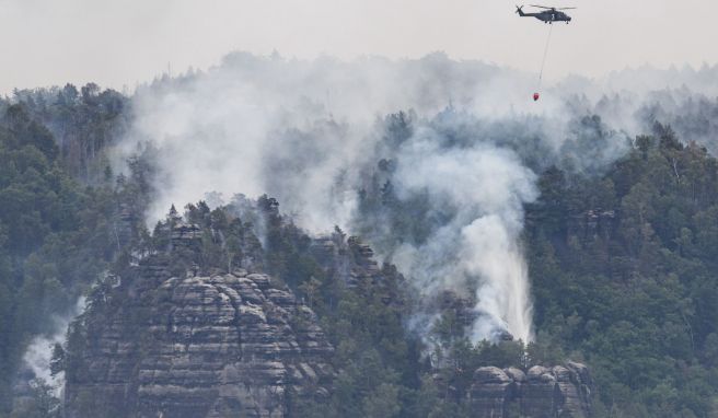 Brandschäden im Kerngebiet des Nationalpark Sächsische Schweiz am Großen Winterberg im deutsch-tschechischen Grenzgebiet. Das Gastgewerbe muss sich mit einer Stornierungswelle konfrontieren.