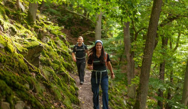 Wandern in Deutschland Wälder wie grüne Hallen: Auf dem Urwaldsteig in Hessen