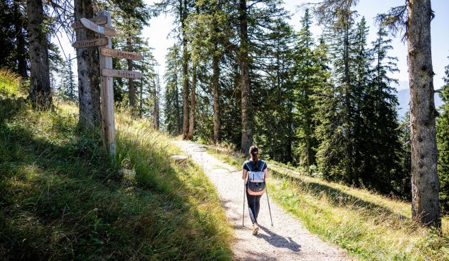 Wanderwege sind in Deutschland nach Schwierigkeitsgraden farblich markiert, doch die Farbcodes können in anderen Ländern abweichen, was zu Missverständnissen führen kann.