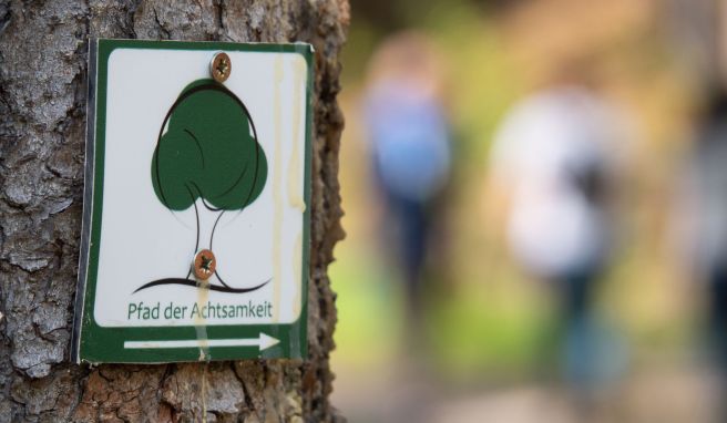 Wandern in Deutschland Am Beispiel des Spessart: Auf dem Pfad der Achtsamkeit