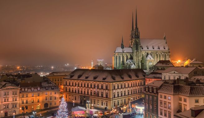 Advent im tschechischen Brno Reptil und Turbomošt: Brünn, die «Weihnachtshauptstadt 2024»